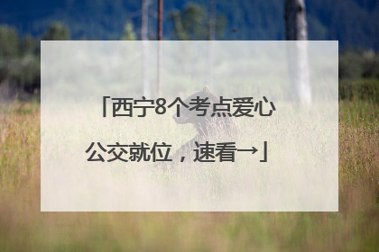 西宁8个考点爱心公交就位，速看→