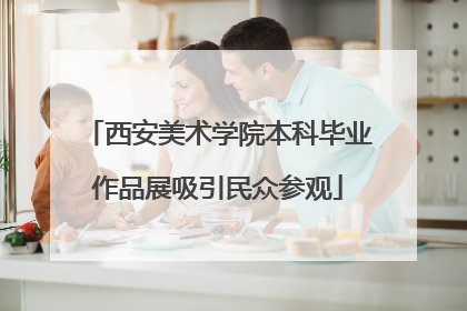西安美术学院本科毕业作品展吸引民众参观