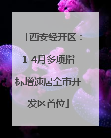 西安经开区：1-4月多项指标增速居全市开发区首位