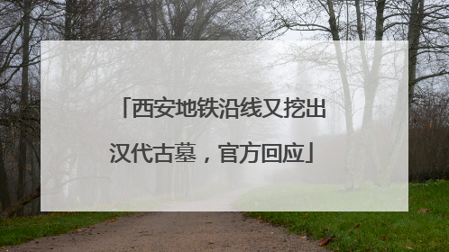 西安地铁沿线又挖出汉代古墓，官方回应