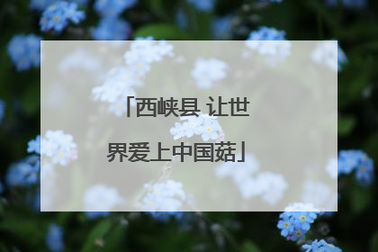 西峡县 让世界爱上中国菇