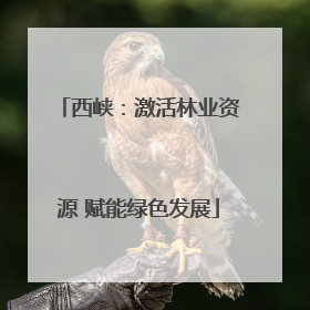 西峡：激活林业资源 赋能绿色发展