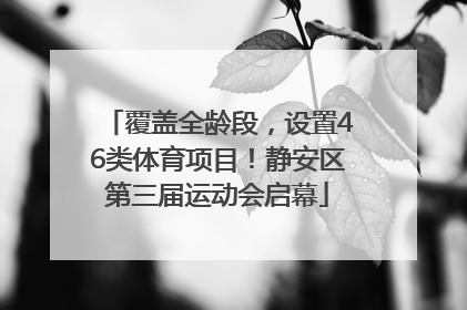 覆盖全龄段，设置46类体育项目！静安区第三届运动会启幕