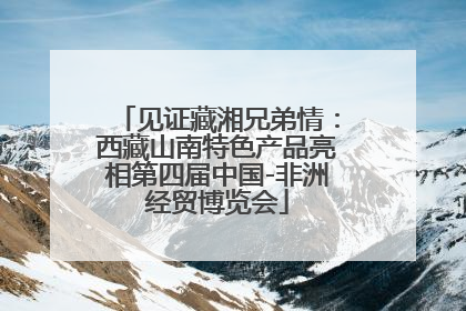 见证藏湘兄弟情：西藏山南特色产品亮相第四届中国-非洲经贸博览会