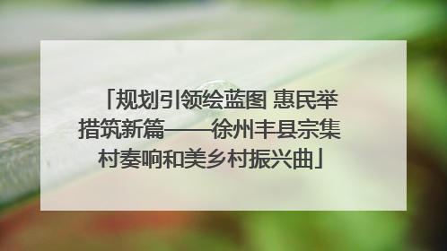 规划引领绘蓝图 惠民举措筑新篇——徐州丰县宗集村奏响和美乡村振兴曲