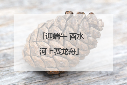 迎端午 酉水河上赛龙舟