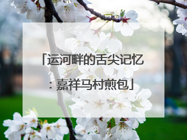 运河畔的舌尖记忆：嘉祥马村煎包