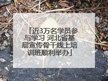 近3万名学员参与学习 河北省基层宣传骨干线上培训班顺利举办