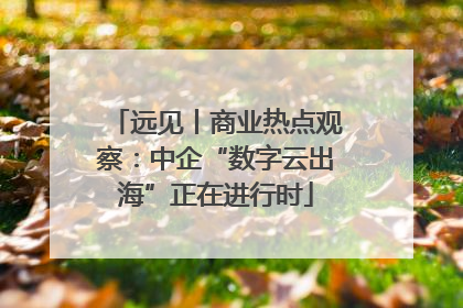 远见丨商业热点观察：中企“数字云出海”正在进行时