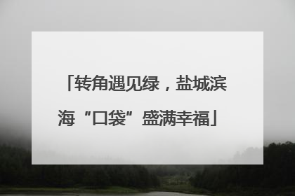 转角遇见绿，盐城滨海“口袋”盛满幸福