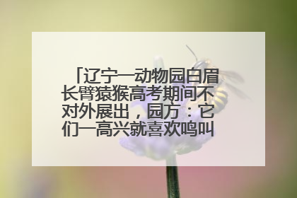 辽宁一动物园白眉长臂猿猴高考期间不对外展出，园方：它们一高兴就喜欢鸣叫，怕影响考试