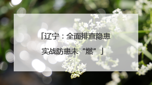 辽宁：全面排查隐患 实战防患未“燃”