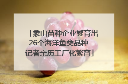 象山苗种企业繁育出26个海洋鱼类品种 记者亲历工厂化繁育