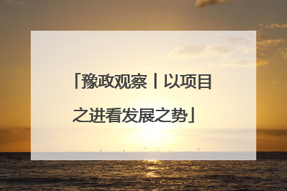 豫政观察丨以项目之进看发展之势