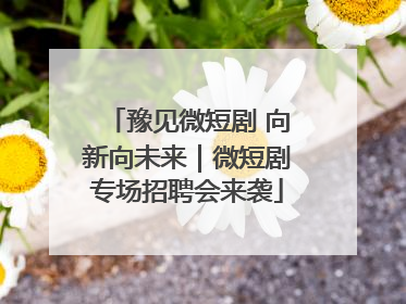 豫见微短剧 向新向未来｜微短剧专场招聘会来袭