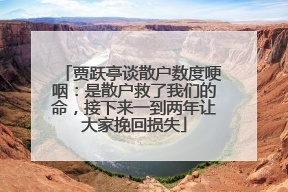 贾跃亭谈散户数度哽咽：是散户救了我们的命，接下来一到两年让大家挽回损失
