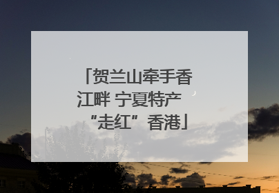 贺兰山牵手香江畔 宁夏特产“走红”香港
