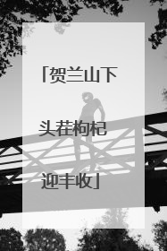 贺兰山下 头茬枸杞迎丰收