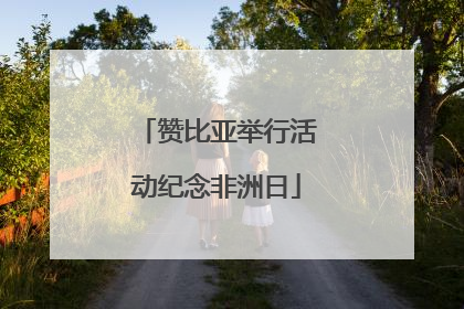 赞比亚举行活动纪念非洲日