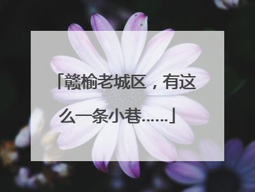 赣榆老城区，有这么一条小巷……