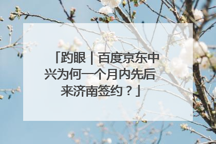 趵眼｜百度京东中兴为何一个月内先后来济南签约？