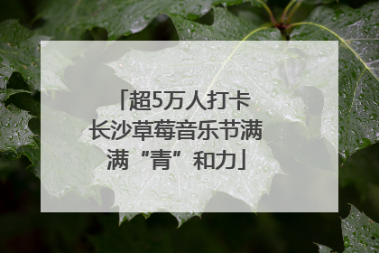 超5万人打卡 长沙草莓音乐节满满“青”和力