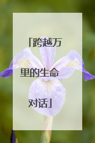 跨越万里的生命对话