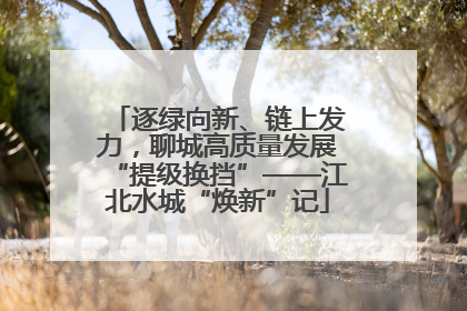 逐绿向新、链上发力，聊城高质量发展“提级换挡”——江北水城“焕新”记
