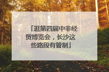 逛第四届中非经贸博览会，长沙这些路段有管制