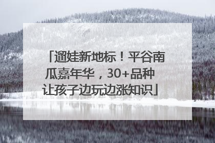 遛娃新地标！平谷南瓜嘉年华，30+品种让孩子边玩边涨知识
