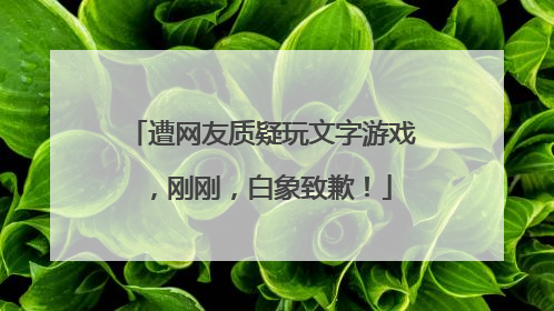 遭网友质疑玩文字游戏，刚刚，白象致歉！