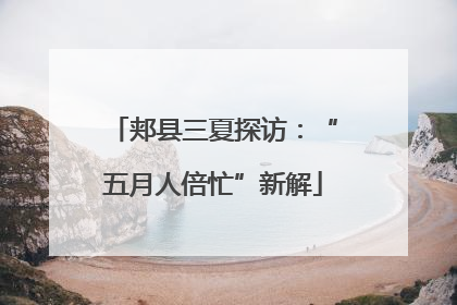 郏县三夏探访：“五月人倍忙”新解