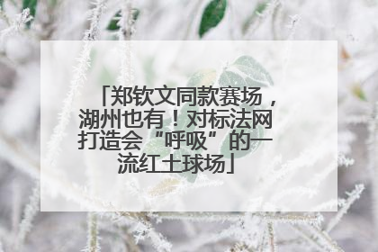 郑钦文同款赛场，湖州也有！对标法网打造会“呼吸”的一流红土球场