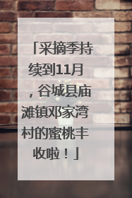 采摘季持续到11月，谷城县庙滩镇邓家湾村的蜜桃丰收啦！