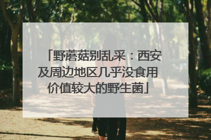野蘑菇别乱采：西安及周边地区几乎没食用价值较大的野生菌