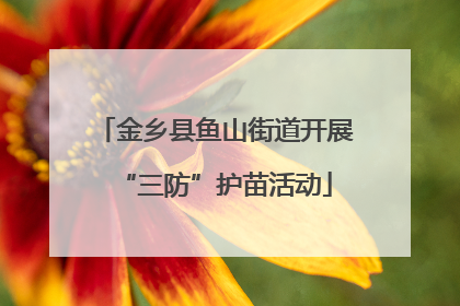 金乡县鱼山街道开展“三防”护苗活动