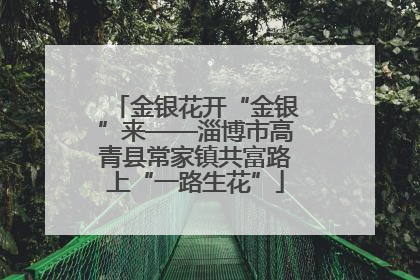 金银花开“金银”来——淄博市高青县常家镇共富路上“一路生花”