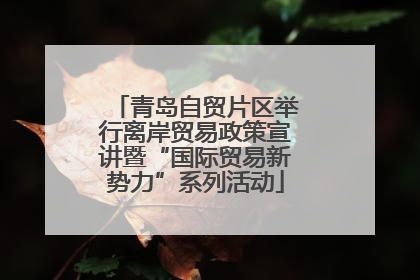 青岛自贸片区举行离岸贸易政策宣讲暨“国际贸易新势力”系列活动