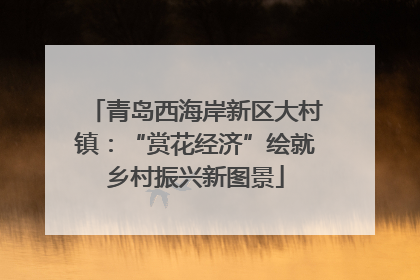 青岛西海岸新区大村镇：“赏花经济”绘就乡村振兴新图景