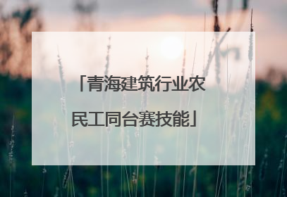 青海建筑行业农民工同台赛技能