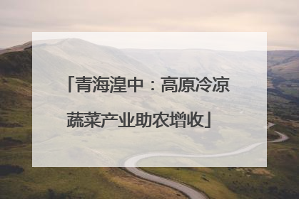 青海湟中：高原冷凉蔬菜产业助农增收