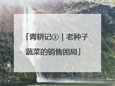 青耕记③｜老种子蔬菜的销售困局
