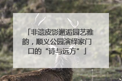 非遗皮影邂逅园艺雅韵，顺义公园演绎家门口的“诗与远方”