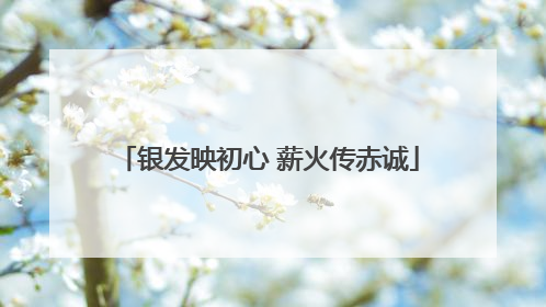 银发映初心 薪火传赤诚