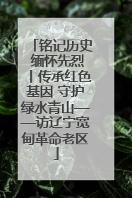 铭记历史 缅怀先烈丨传承红色基因 守护绿水青山——访辽宁宽甸革命老区