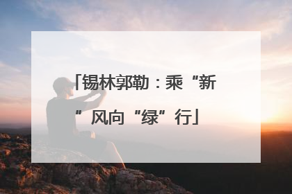锡林郭勒：乘“新”风向“绿”行