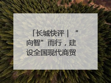 长城快评｜“向智”而行，建设全国现代商贸物流重要基地