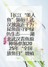 长江“美人鱼”领衔！武汉放流近千万尾鱼苗守护绿色生态——湖北武汉青鱼原种场参加2025年“全国放鱼日”增殖放流活动