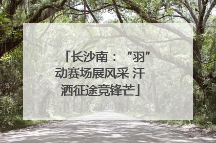 长沙南：“羽”动赛场展风采 汗洒征途竞锋芒