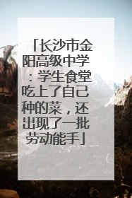 长沙市金阳高级中学：学生食堂吃上了自己种的菜，还出现了一批劳动能手